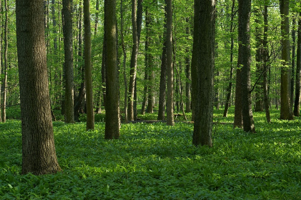 你认为的检验检测是怎么样的？